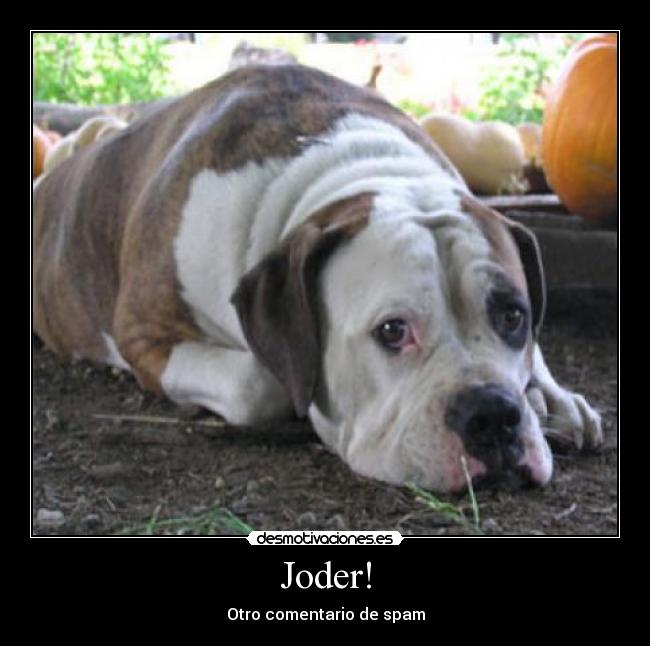 Joder! - Otro comentario de spam