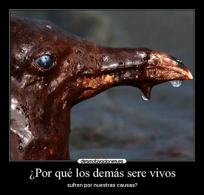 ¿Por qué los demás sere vivos -