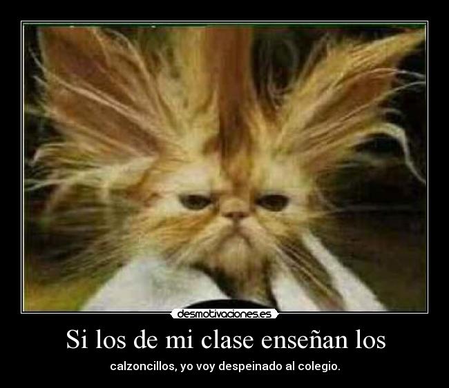 carteles nosepaque desmotivaciones