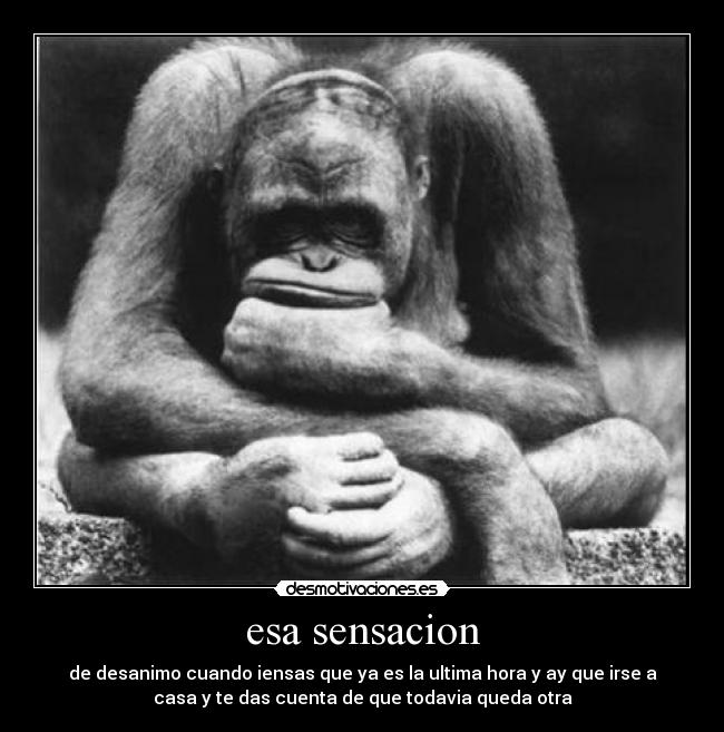 carteles alvarinho19 desmotivaciones