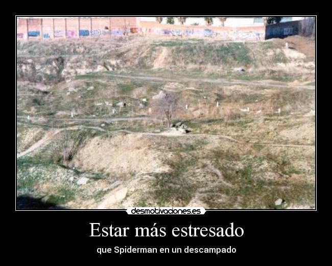 carteles spiderman descampado principal tia buena tanga justin bieber desmotivaciones