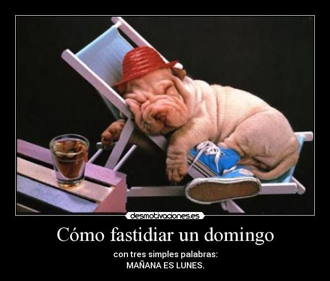 Cómo fastidiar un domingo - con tres simples palabras:
MAÑANA ES LUNES.
