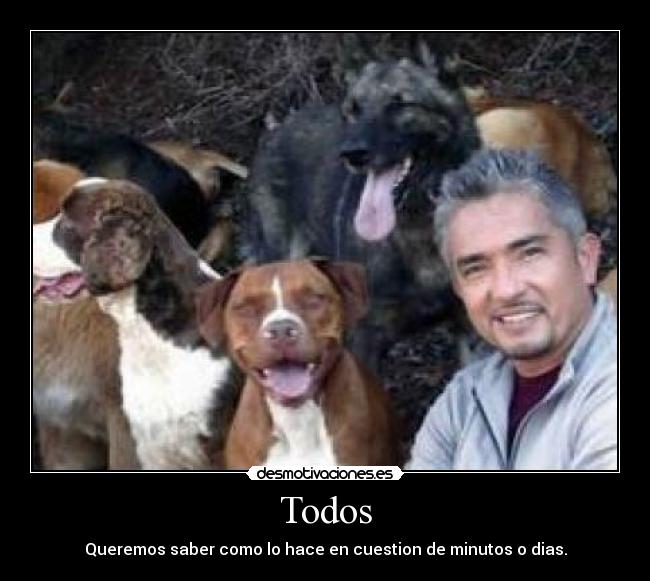 Todos - Queremos saber como lo hace en cuestion de minutos o dias.