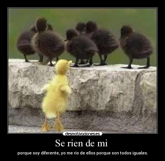 Se rien de mi - porque soy diferente, yo me rio de ellos porque son todos iguales.