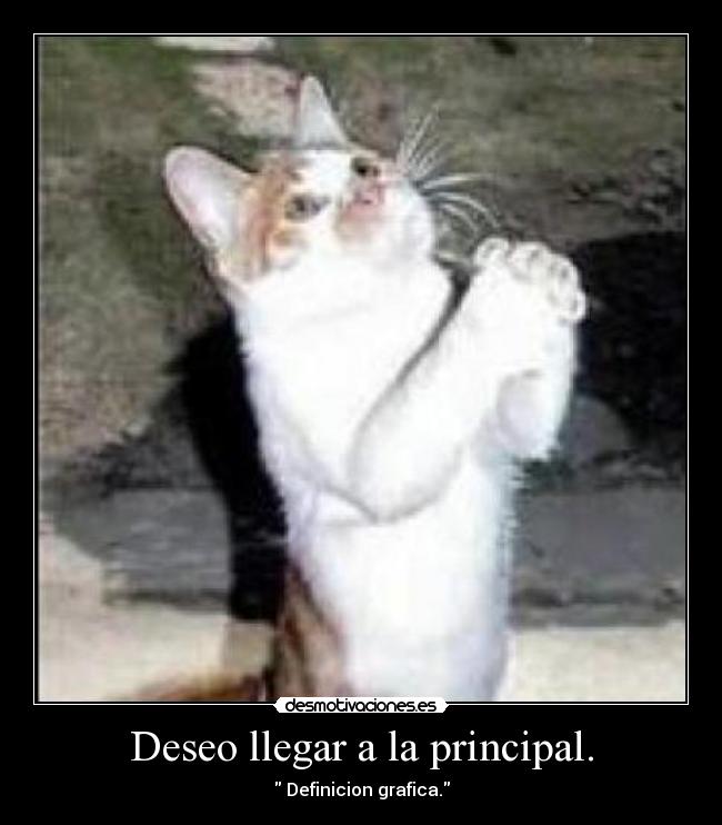Deseo llegar a la principal. - 