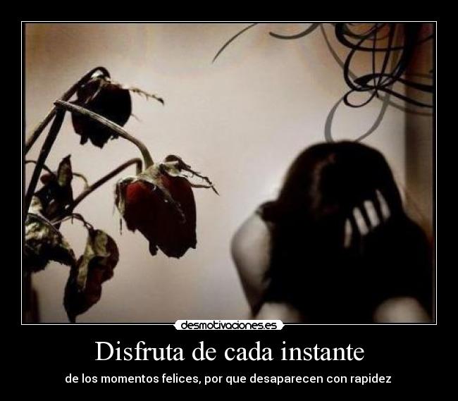 Disfruta de cada instante -