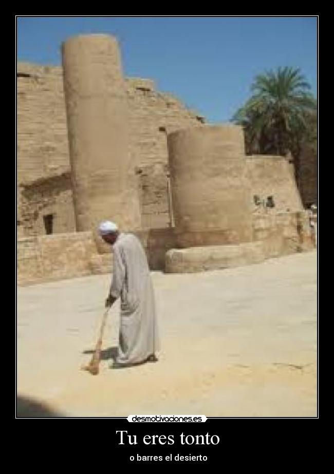 Tu eres tonto - 