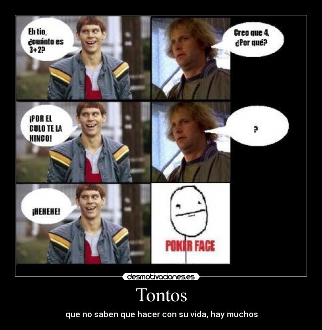 Tontos - 