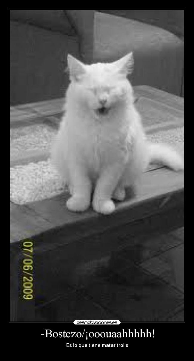 -Bostezo/¡ooouaahhhhh! - Es lo que tiene matar trolls