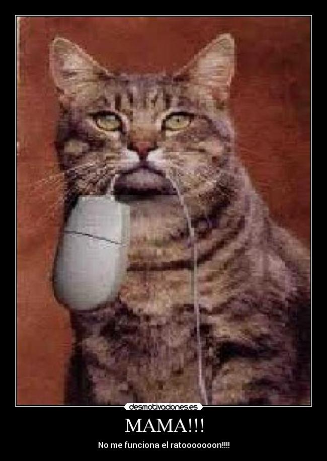 carteles votosabio desmotivaciones