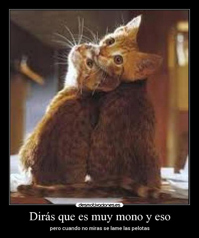 Dirás que es muy mono y eso -