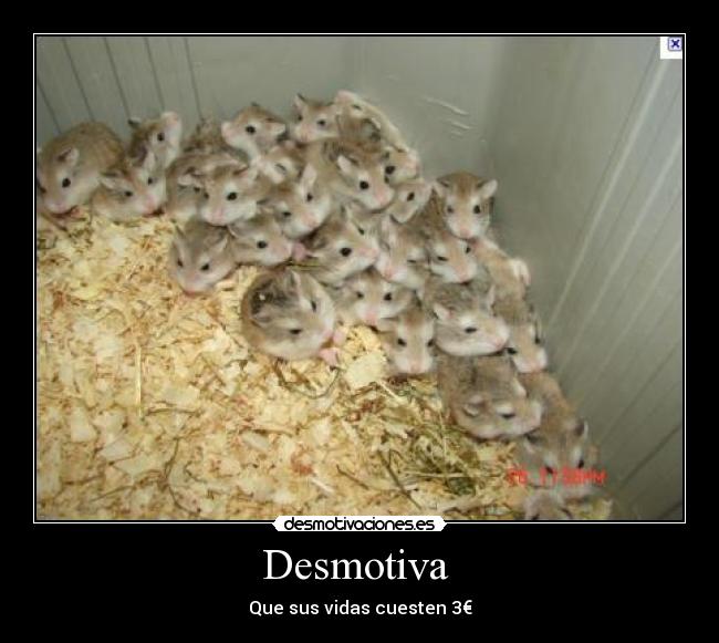 Desmotiva - Que sus vidas cuesten 3€