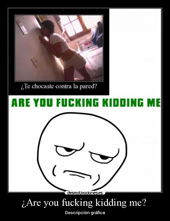 ¿Are you fucking kidding me? - Descripción gráfica