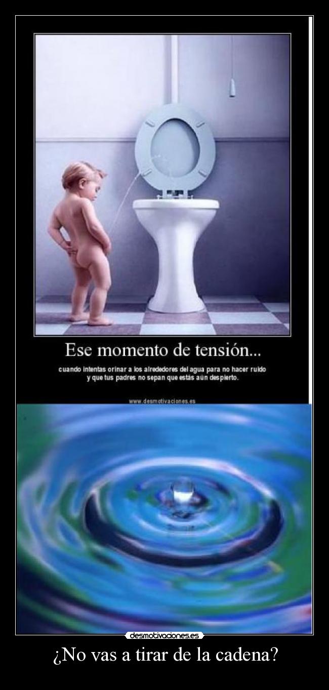 ¿No vas a tirar de la cadena? - 