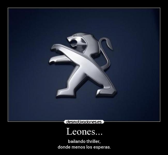 Leones... - bailando thriller,
donde menos los esperas.