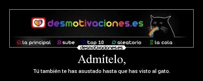 Admítelo, - Tú también te has asustado hasta que has visto al gato.