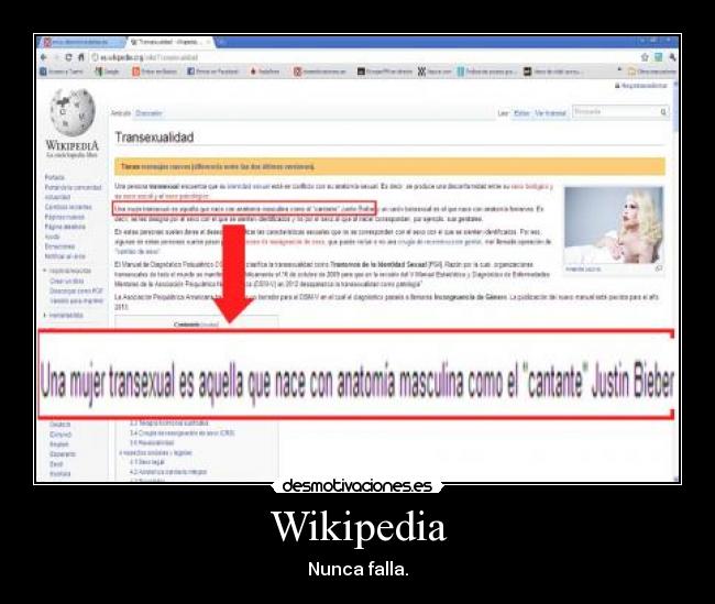 Wikipedia - 