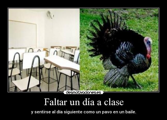 carteles clase dia pavo colegio baile desmotivaciones