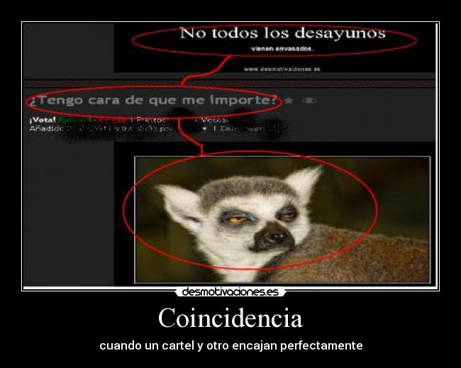 Coincidencia - 