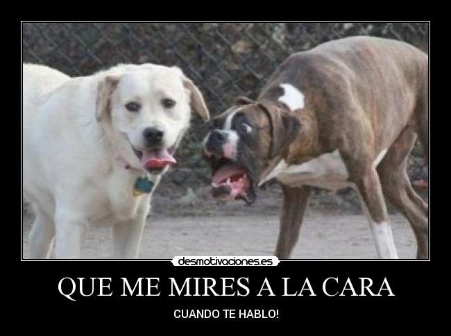QUE ME MIRES A LA CARA -