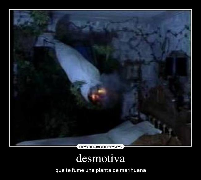 desmotiva - que te fume una planta de marihuana