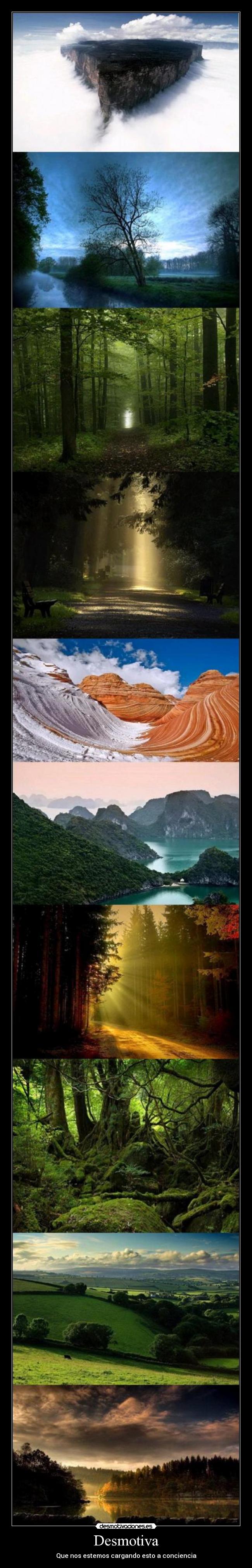 Desmotiva - Que nos estemos cargando esto a conciencia