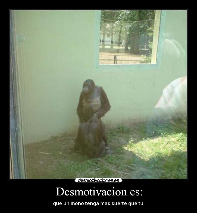 Desmotivacion es: - 