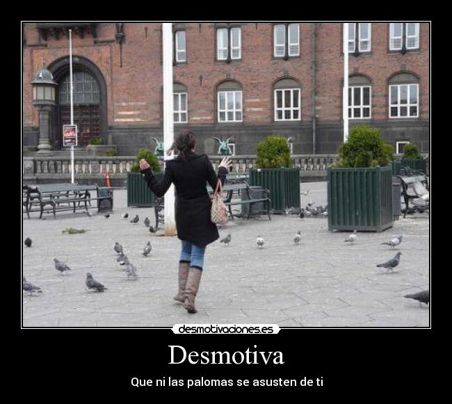 Desmotiva - Que ni las palomas se asusten de ti