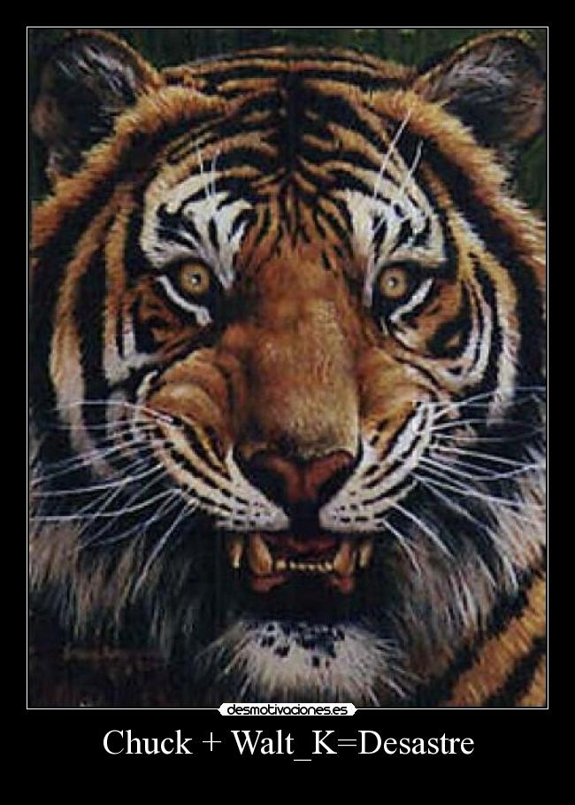 Chuck + Walt_K=Desastre -   