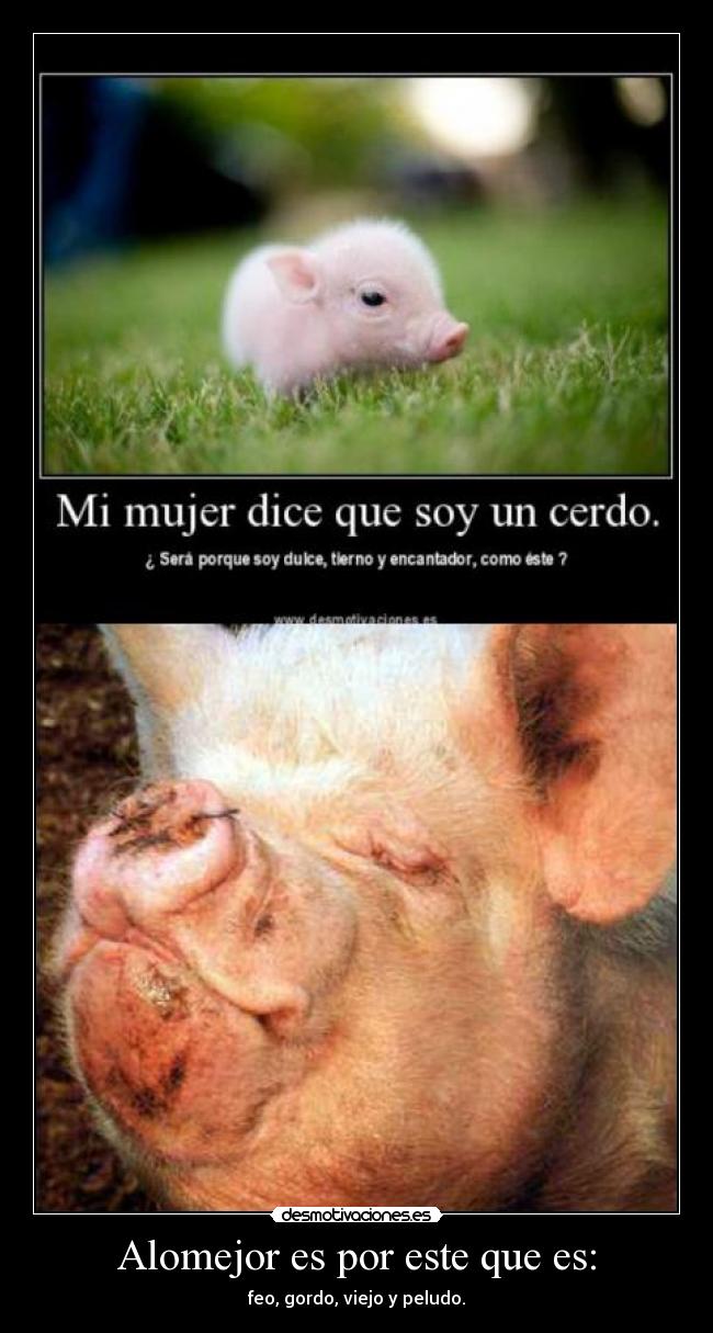 Alomejor es por este que es: -