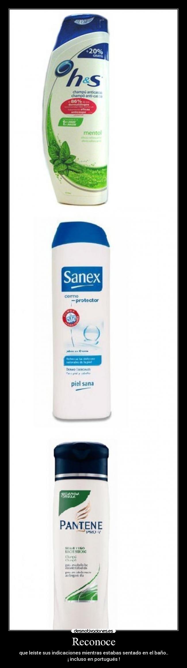 Reconoce - que leíste sus indicaciones mientras estabas sentado en el baño..
¡ incluso en portugués !