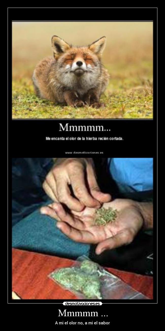 Mmmmm ... - A mi el olor no, a mi el sabor