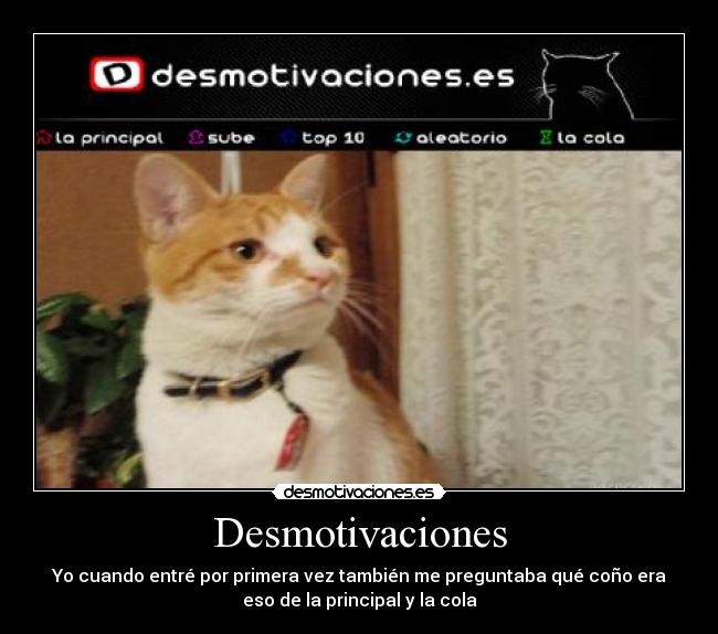 Desmotivaciones - 