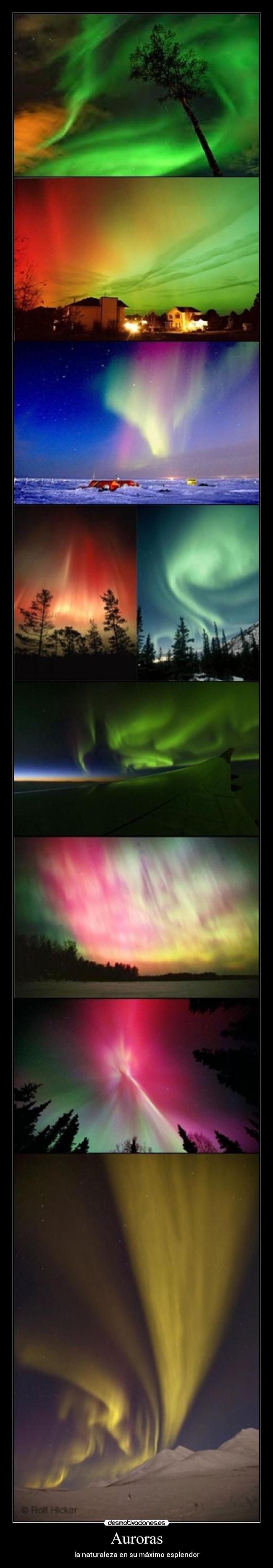 Auroras -