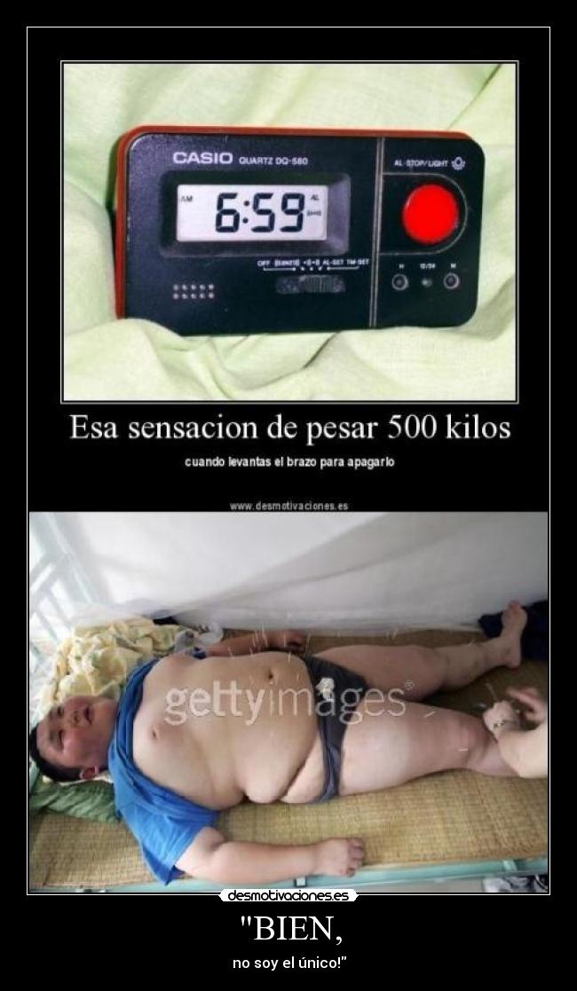 carteles gordo desmotivaciones