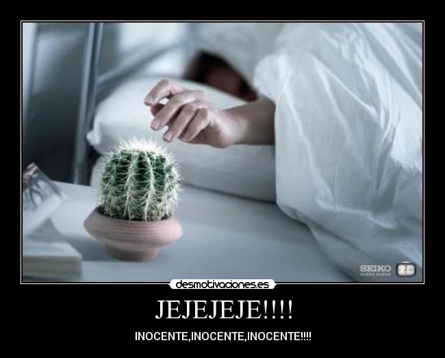 JEJEJEJE!!!! - INOCENTE,INOCENTE,INOCENTE!!!!