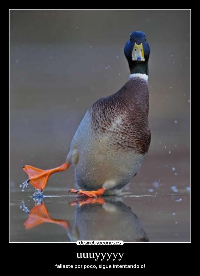 uuuyyyyy - fallaste por poco, sigue intentandolo!