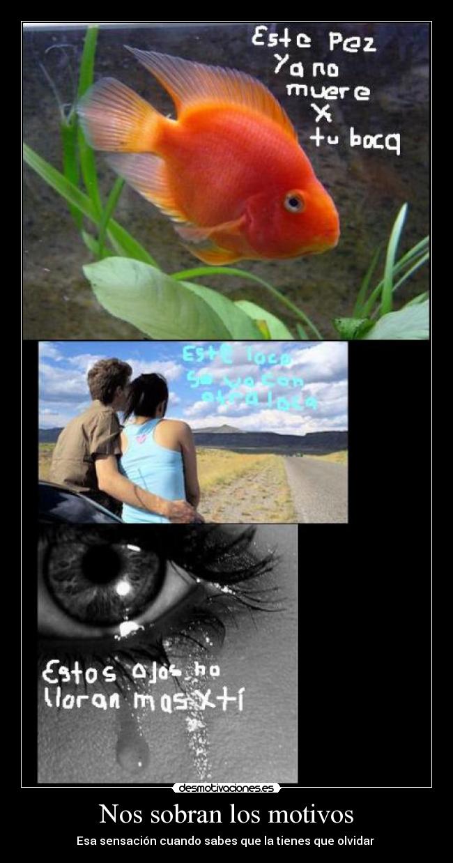 Nos sobran los motivos - Esa sensación cuando sabes que la tienes que olvidar 