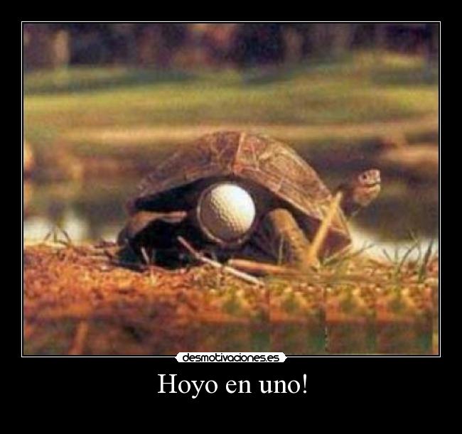 Hoyo en uno! - 