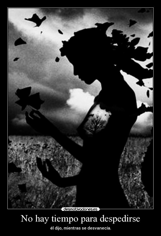 No hay tiempo para despedirse - 