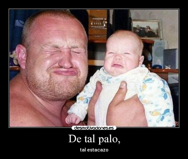 De tal palo, - tal estacazo