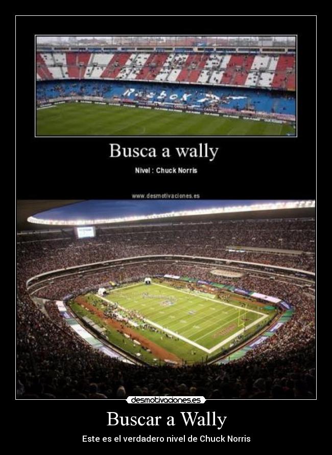 carteles chuck norris desmotivaciones