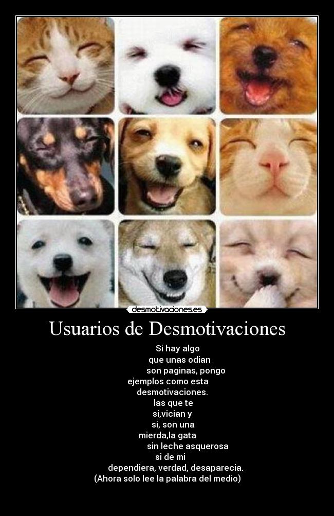 Usuarios de Desmotivaciones - 