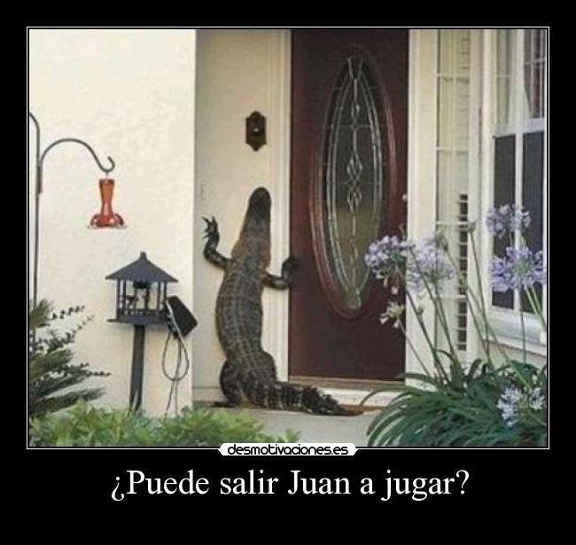 ¿Puede salir Juan a jugar? -