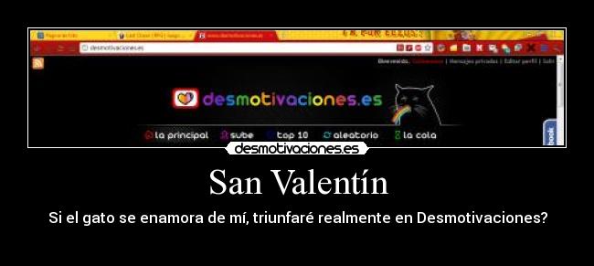 San Valentín - Si el gato se enamora de mí, triunfaré realmente en Desmotivaciones?
