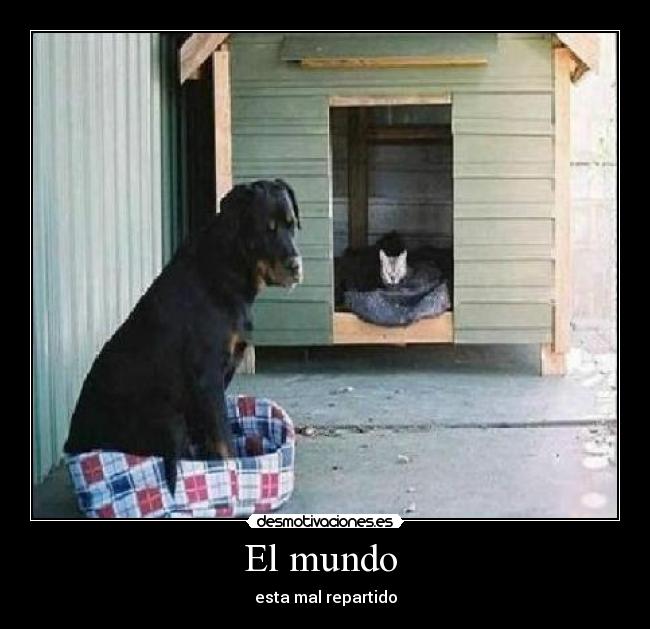 El mundo - esta mal repartido