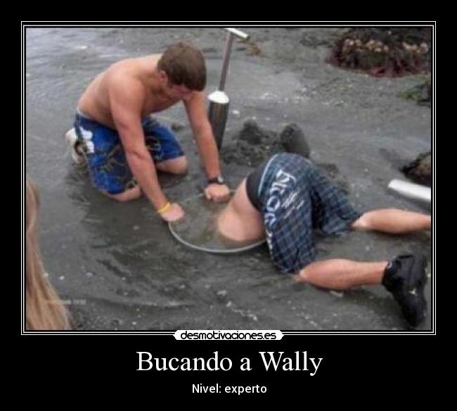 Bucando a Wally - Nivel: experto