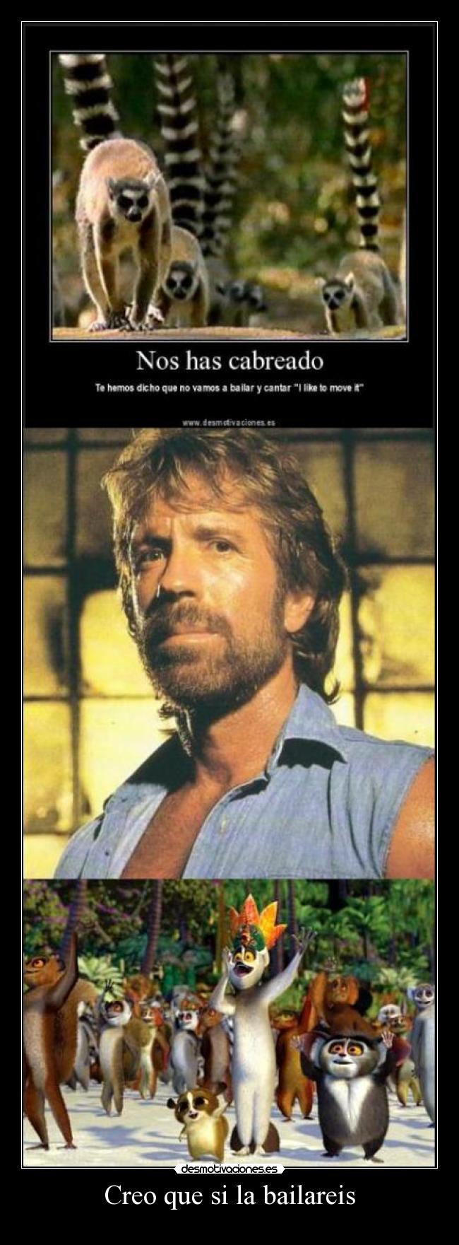 Creo que si la bailareis -