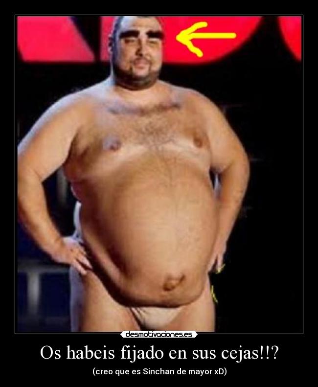 Os habeis fijado en sus cejas!!? - 