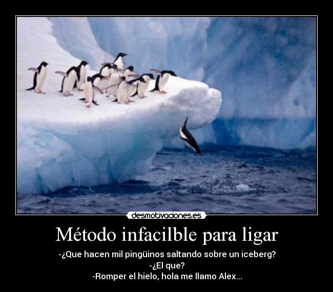 Método infacilble para ligar - -¿Que hacen mil pingüinos saltando sobre un iceberg?
-¿El que?
-Romper el hielo, hola me llamo Alex...